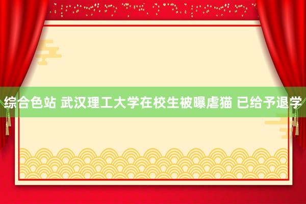 综合色站 武汉理工大学在校生被曝虐猫 已给予退学