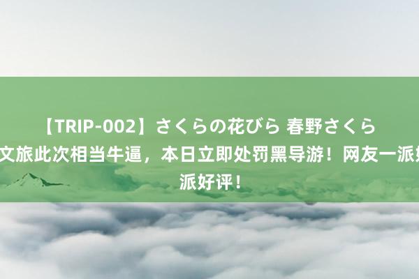 【TRIP-002】さくらの花びら 春野さくら 天津文旅此次相当牛逼，本日立即处罚黑导游！网友一派好评！