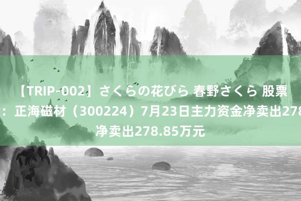 【TRIP-002】さくらの花びら 春野さくら 股票行情快报：正海磁材（300224）7月23日主力资金净卖出278.85万元