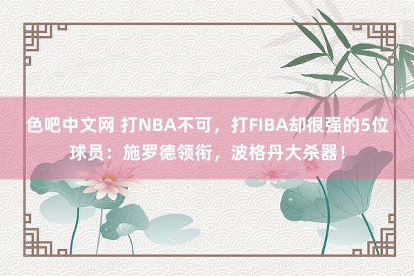 色吧中文网 打NBA不可，打FIBA却很强的5位球员：施罗德领衔，波格丹大杀器！