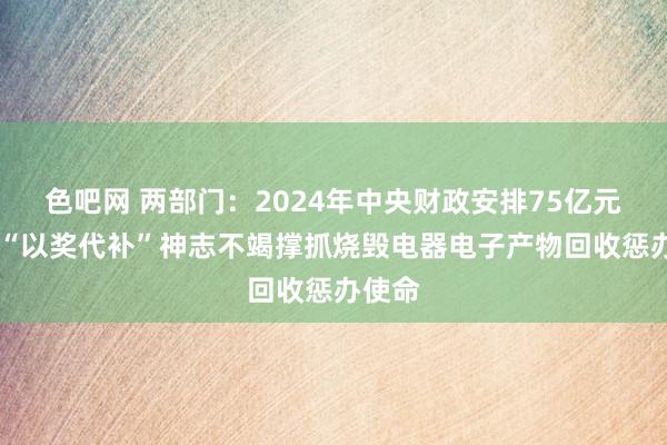 色吧网 两部门：2024年中央财政安排75亿元 遴荐“以奖代补”神志不竭撑抓烧毁电器电子产物回收惩办使命