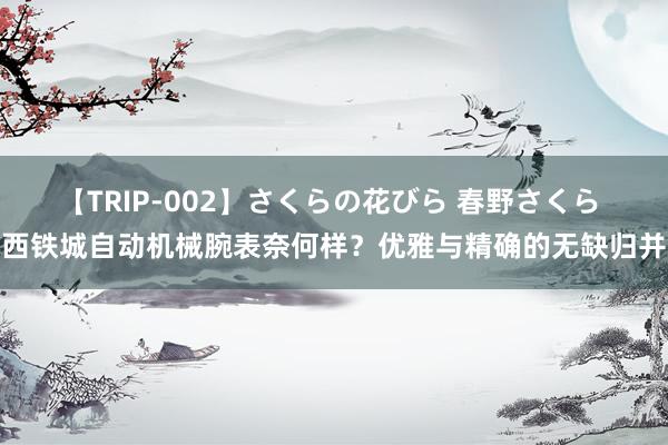 【TRIP-002】さくらの花びら 春野さくら 西铁城自动机械腕表奈何样？优雅与精确的无缺归并