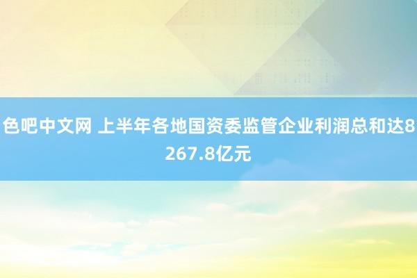 色吧中文网 上半年各地国资委监管企业利润总和达8267.8亿元