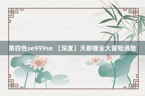 第四色se999se 【深度】天都锂业大冒险遇险