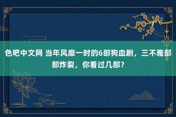 色吧中文网 当年风靡一时的6部狗血剧，三不雅部部炸裂，你看过几部？