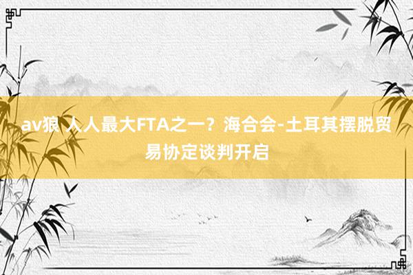 av狼 人人最大FTA之一？海合会-土耳其摆脱贸易协定谈判开启