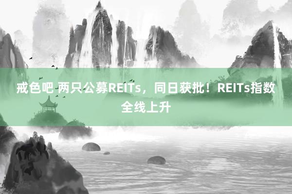 戒色吧 两只公募REITs，同日获批！REITs指数全线上升