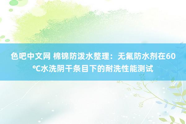 色吧中文网 棉锦防泼水整理：无氟防水剂在60℃水洗阴干条目下的耐洗性能测试