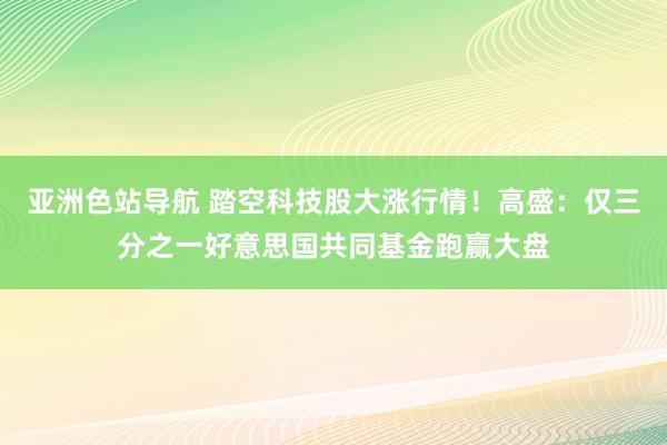 亚洲色站导航 踏空科技股大涨行情！高盛：仅三分之一好意思国共同基金跑赢大盘