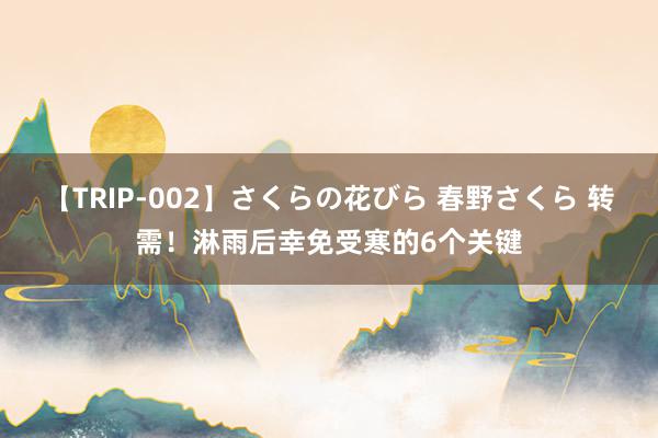 【TRIP-002】さくらの花びら 春野さくら 转需！淋雨后幸免受寒的6个关键