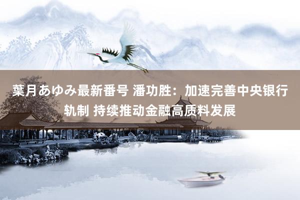 葉月あゆみ最新番号 潘功胜：加速完善中央银行轨制 持续推动金融高质料发展