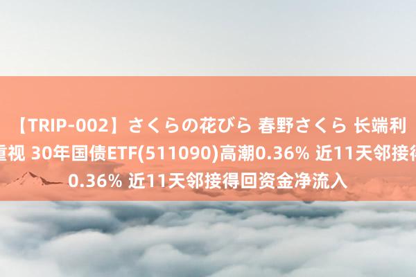 【TRIP-002】さくらの花びら 春野さくら 长端利率短期波动引重视 30年国债ETF(511090)高潮0.36% 近11天邻接得回资金净流入