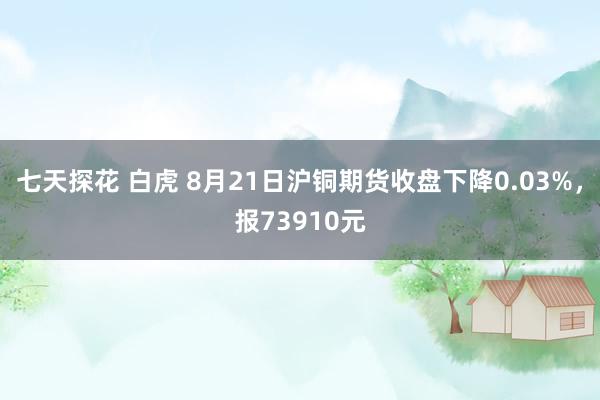 七天探花 白虎 8月21日沪铜期货收盘下降0.03%，报73910元