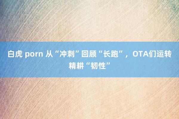 白虎 porn 从“冲刺”回顾“长跑”，OTA们运转精耕“韧性”