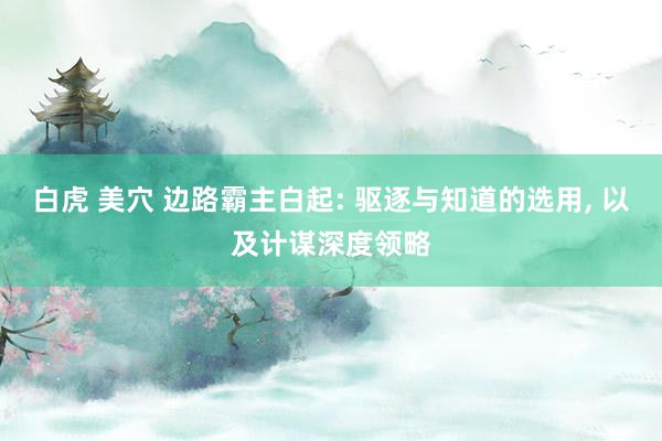 白虎 美穴 边路霸主白起: 驱逐与知道的选用, 以及计谋深度领略