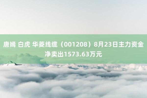 唐嫣 白虎 华菱线缆（001208）8月23日主力资金净卖出1573.63万元