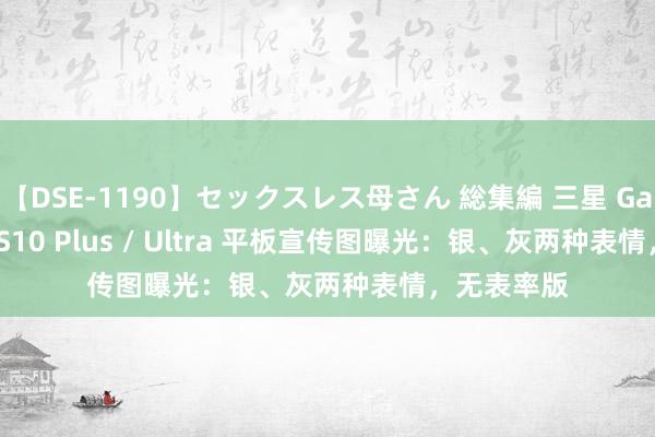 【DSE-1190】セックスレス母さん 総集編 三星 Galaxy Tab S10 Plus / Ultra 平板宣传图曝光：银、灰两种表情，无表率版