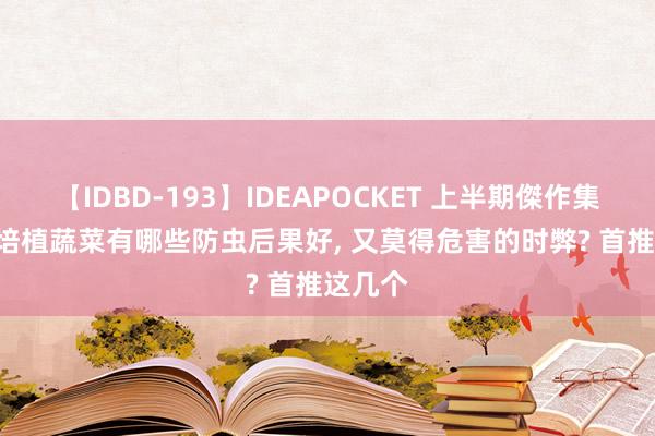 【IDBD-193】IDEAPOCKET 上半期傑作集2009 培植蔬菜有哪些防虫后果好, 又莫得危害的时弊? 首推这几个